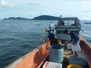 Khảo sát, đo đạc thực địa vùng nuôi biển Kiên Giang